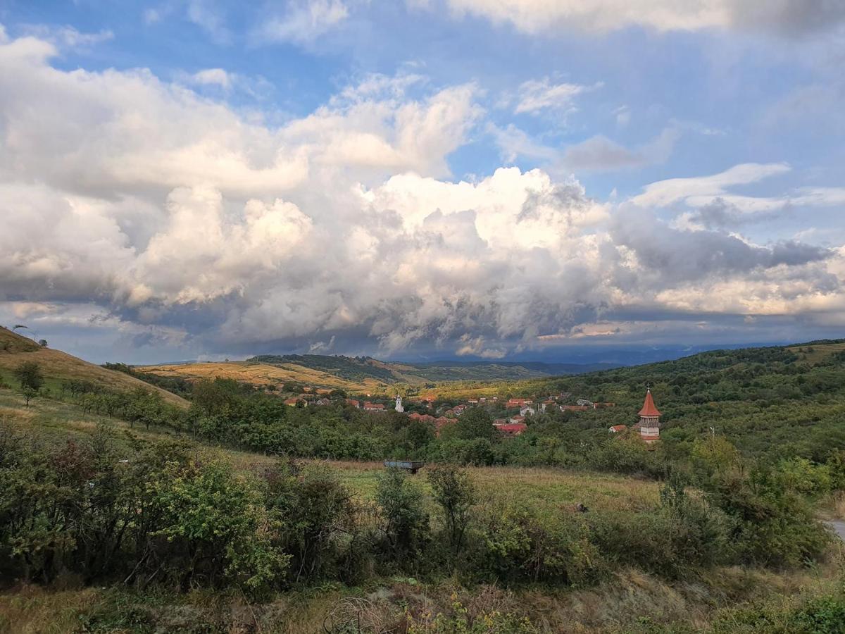 Motel Prislop Haţeg Екстериор снимка