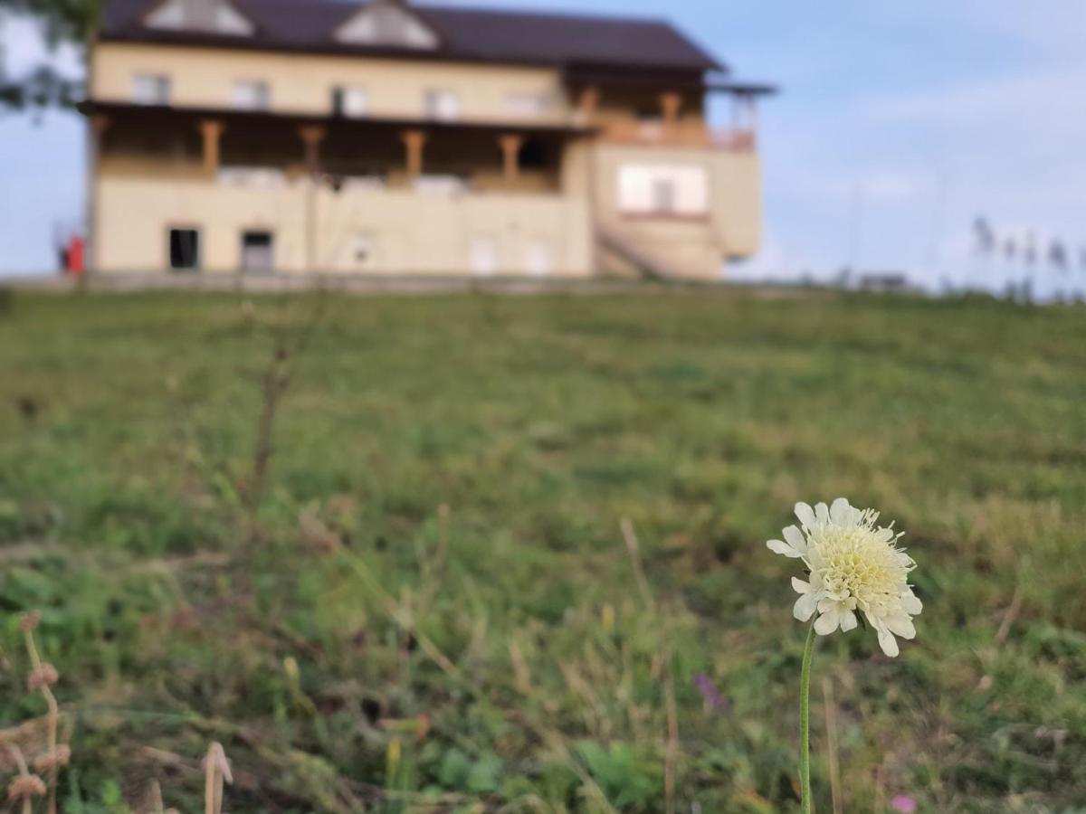 Motel Prislop Haţeg Екстериор снимка