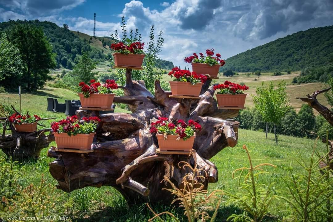 Motel Prislop Haţeg Екстериор снимка