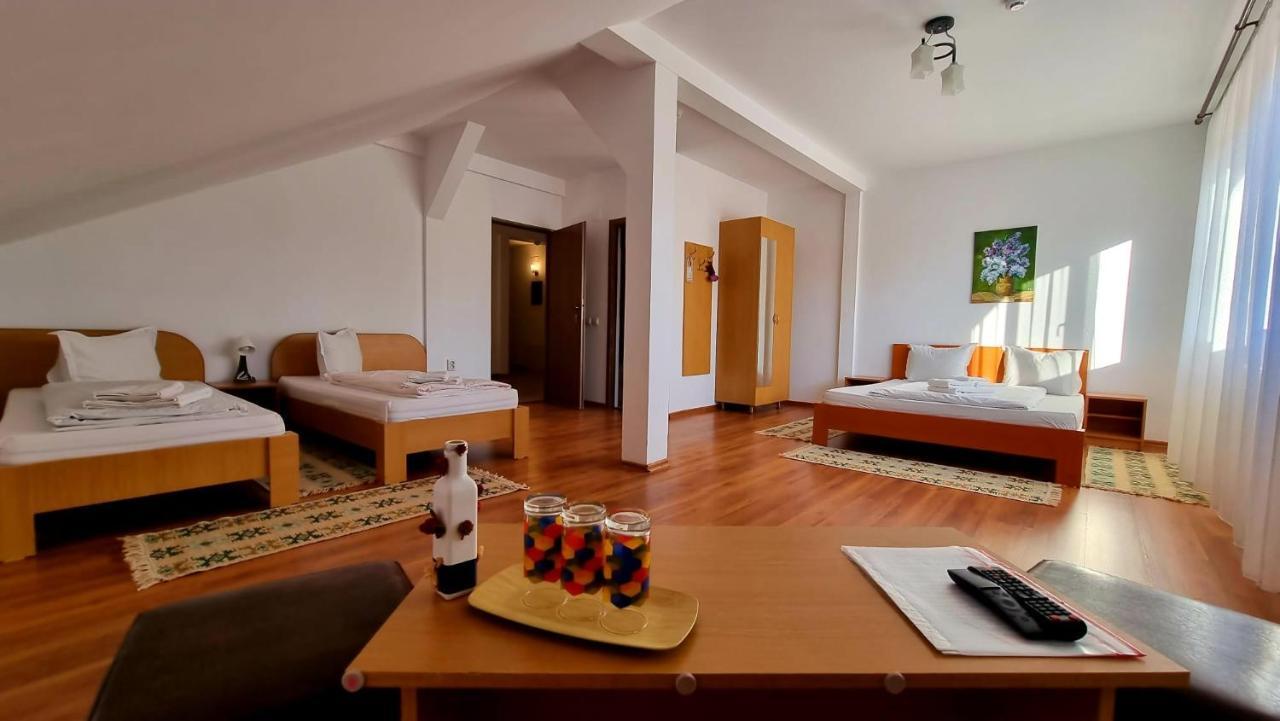 Motel Prislop Haţeg Екстериор снимка